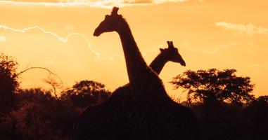 Experience Southern Africa - 16 Days
