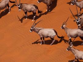 Southern Africa Adventure - 30 Days