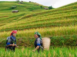 Hiking in Sapa - 5 Days