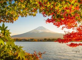 Ultimate Japan - 24 Days