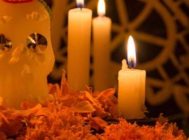 Mexico City: Day of the Dead Original - 5 Days