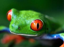 Best of Costa Rica Family Holiday - 14 Days