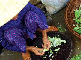 Vietnam & Cambodia Real Food Adventure - 19 Days