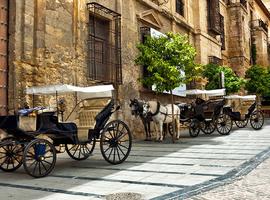 Premium Spain & Morocco - 19 Days