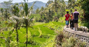Bali & Lombok Adventure - 15 Days
