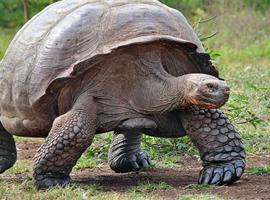 Galapagos Experience - 7 Days