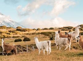 Ecuador Highlands  - 9 Days