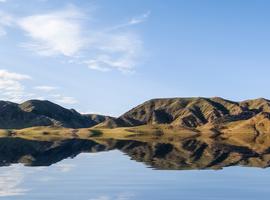 Wild Mongolia - 15 Days