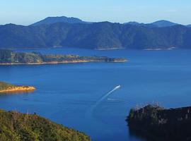 Walk New Zealand's Queen Charlotte Track - 4 Days