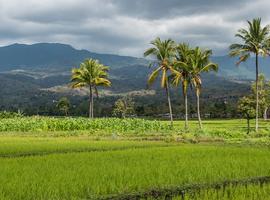 Timor-Leste Expedition - 9 Days