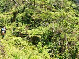 Fiji: Hike, Raft & Snorkel - 8 Days