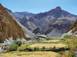 India: Trekking in Ladakh - 14 Days