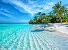 Sail Maldives - 8 Days