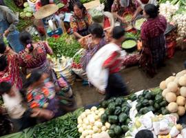 Heart of Guatemala - 7 Days