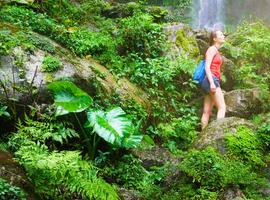 Central American Adventure - 34 Days