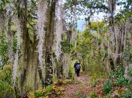 Hiking in Mexico: Oaxaca’s Indigenous Highlands - 5 Days