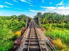 Malaysia's Jungle Railway Adventure - 10 Days