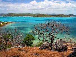 Cape York & Torres Strait Adventure - 10 Days