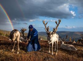 Mongolia Expedition: Reindeer Herders - 14 Days