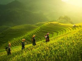 Premium Walking & Hiking in Vietnam - 9 Days