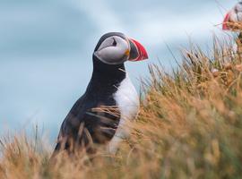 Iceland Discovery - 8 Days