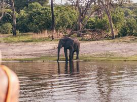 18 to 35s Essential Botswana - 9 Days