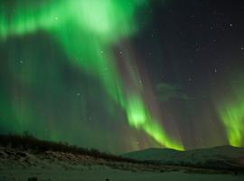 Northern Scandinavia in Winter - 8 Days