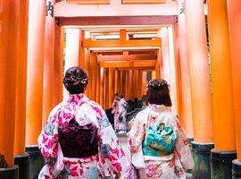 Premium Highlights of Japan - 9 Days