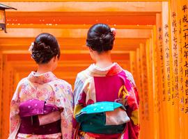 Japan Express - 9 Days