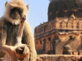 Classic Rajasthan - 15 Days