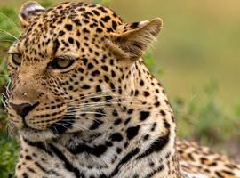 Kenya Family Safari - 8 Days