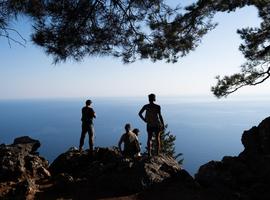 Highlights of Crete - 7 Days