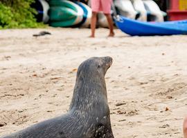 Peru & Galapagos Explorer - 30 Days