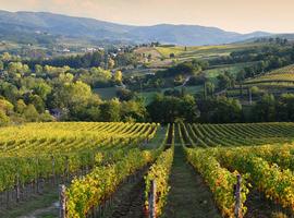 Premium Rome to Venice - 8 Days