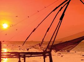 India Experience - 18 Days