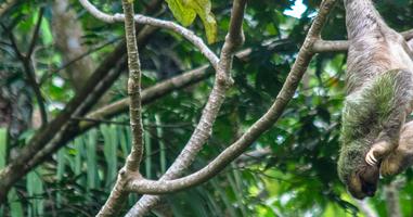 Costa Rica Experience - 8 Days