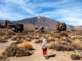 Hike The Canary Islands	 - 7 Days
