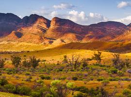 Walk South Australia's Flinders Ranges - 7 Days