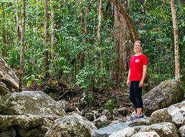Best of Cairns, Great Barrier Reef & Daintree  - 5 Days