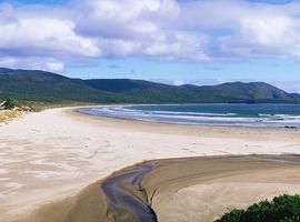 Best of Hobart & Southern Tasmania - 4 Days