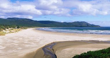 Best of Hobart & Southern Tasmania  - 4 Days