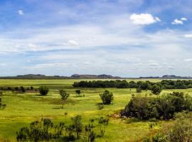 Kakadu, Katherine & Litchfield Explorer - 4 Days