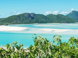 Brisbane to Cairns Adventure - 8 Days