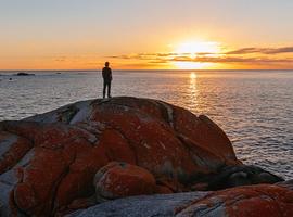 Walk Tasmania's Bay of Fires - 3 Days