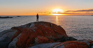 Walk Tasmania's Bay of Fires - 3 Days