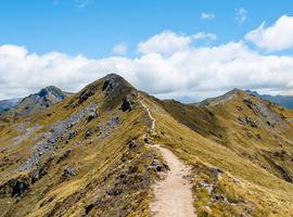 Walk New Zealand's Fiordland National Park - 4 Days