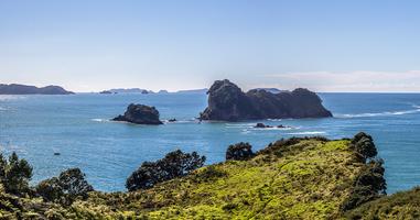 New Zealand's North to South Island Adventure  - 11 Days