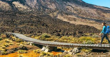 New Zealand Uncovered (Southbound)  - 20 Days