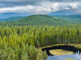 Premium Scotland - 8 Days