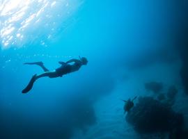Majestic Peru & Southern Galapagos Cruise (Grand Queen Beatriz) - 20 Days